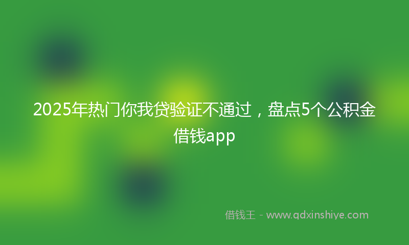 2025年热门你我贷验证不通过，盘点5个公积金借钱app