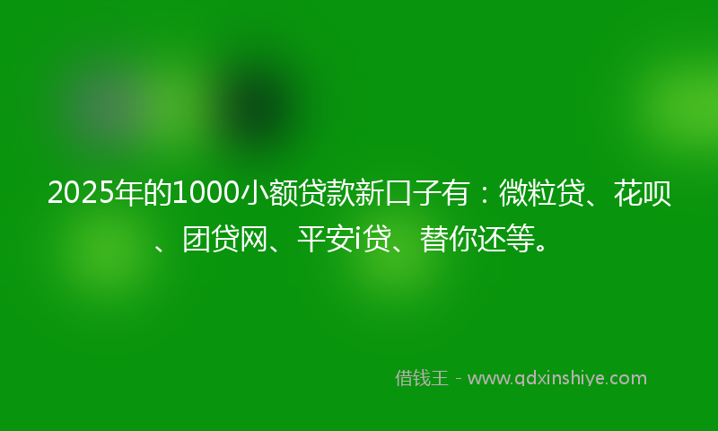 2025年的1000小额贷款新口子有：微粒贷、花呗、团贷网、平安i贷、替你还等。