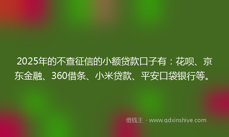 2025年的不查征信的小额贷款口子有：花呗、京东金融、360借条、小米贷款、平安口袋银行等。