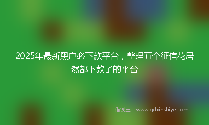 2025年最新黑户必下款平台，整理五个征信花居然都下款了的平台