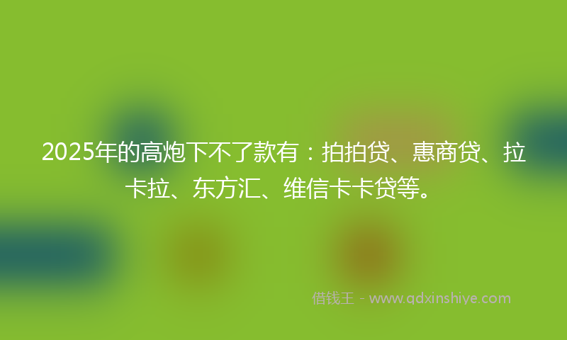 2025年的高炮下不了款有：拍拍贷、惠商贷、拉卡拉、东方汇、维信卡卡贷等。