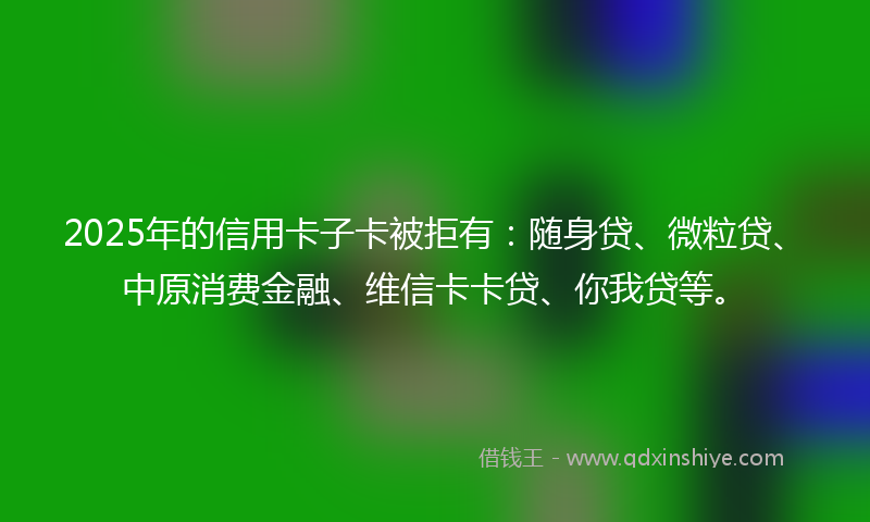 2025年的信用卡子卡被拒有：随身贷、微粒贷、中原消费金融、维信卡卡贷、你我贷等。