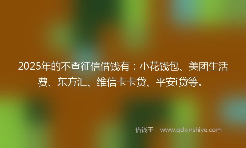 2025年的不查征信借钱有：小花钱包、美团生活费、东方汇、维信卡卡贷、平安i贷等。