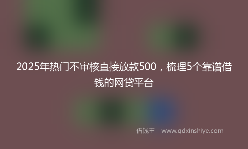 2025年热门不审核直接放款500，梳理5个靠谱借钱的网贷平台