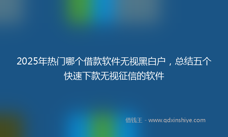 2025年热门哪个借款软件无视黑白户，总结五个快速下款无视征信的软件