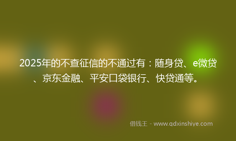2025年的不查征信的不通过有：随身贷、e微贷、京东金融、平安口袋银行、快贷通等。