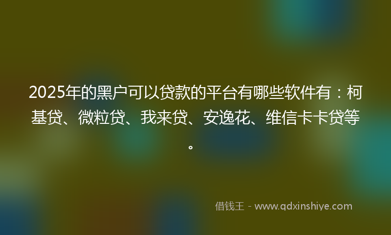 2025年的黑户可以贷款的平台有哪些软件有：柯基贷、微粒贷、我来贷、安逸花、维信卡卡贷等。