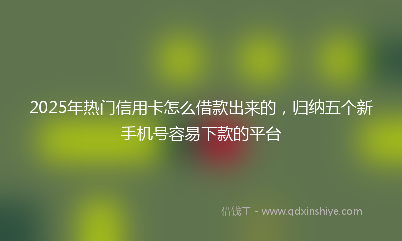 2025年热门信用卡怎么借款出来的，归纳五个新手机号容易下款的平台