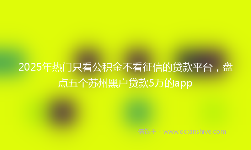2025年热门只看公积金不看征信的贷款平台，盘点五个苏州黑户贷款5万的app