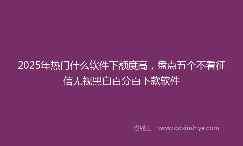 2025年热门什么软件下额度高，盘点五个不看征信无视黑白百分百下款软件