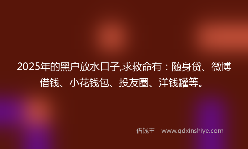 2025年的黑户放水口子,求救命有：随身贷、微博借钱、小花钱包、投友圈、洋钱罐等。