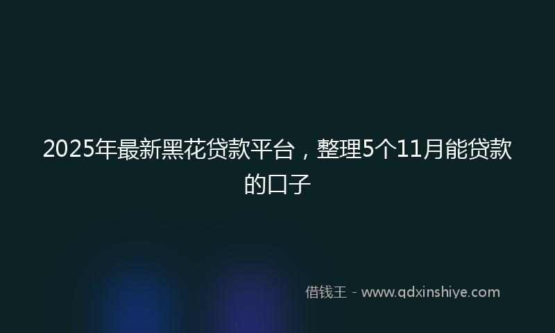 2025年最新黑花贷款平台，整理5个11月能贷款的口子