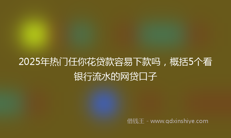 2025年热门任你花贷款容易下款吗，概括5个看银行流水的网贷口子