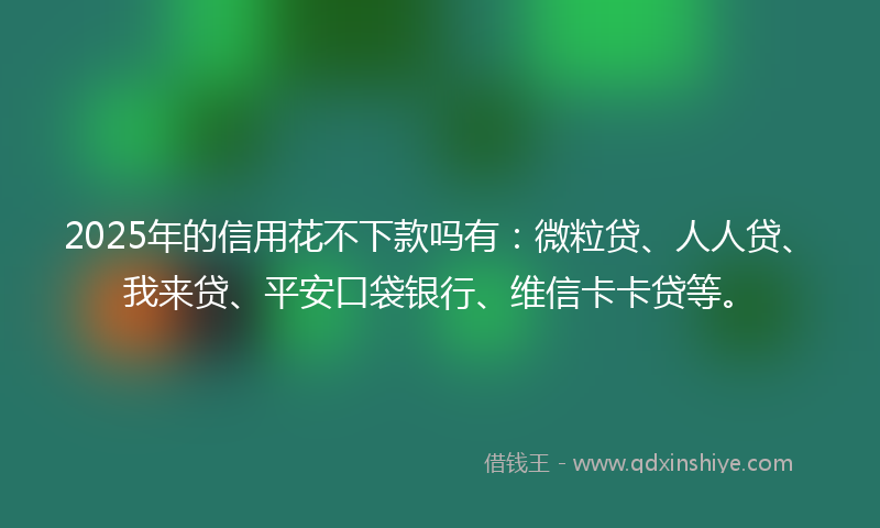 2025年的信用花不下款吗有：微粒贷、人人贷、我来贷、平安口袋银行、维信卡卡贷等。