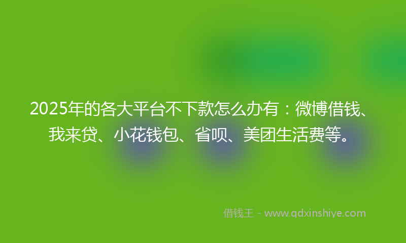 2025年的各大平台不下款怎么办有：微博借钱、我来贷、小花钱包、省呗、美团生活费等。