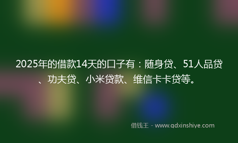 2025年的借款14天的口子有：随身贷、51人品贷、功夫贷、小米贷款、维信卡卡贷等。