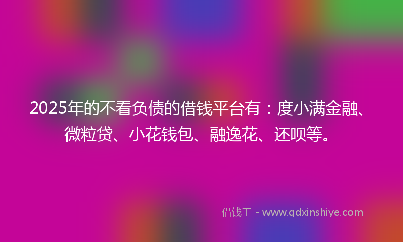 2025年的不看负债的借钱平台有：度小满金融、微粒贷、小花钱包、融逸花、还呗等。