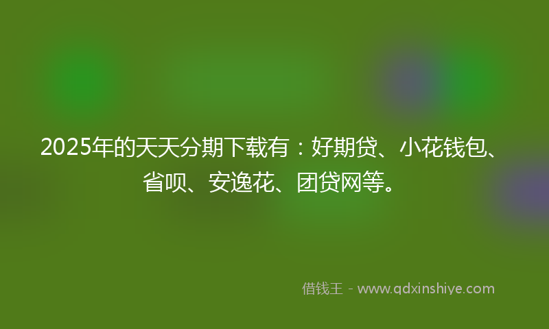 2025年的天天分期下载有：好期贷、小花钱包、省呗、安逸花、团贷网等。