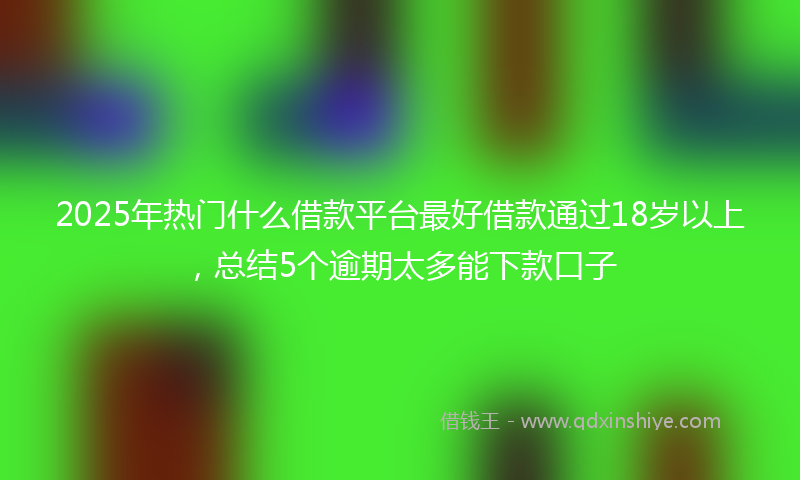 2025年热门什么借款平台最好借款通过18岁以上，总结5个逾期太多能下款口子