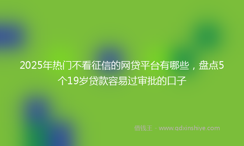 2025年热门不看征信的网贷平台有哪些，盘点5个19岁贷款容易过审批的口子