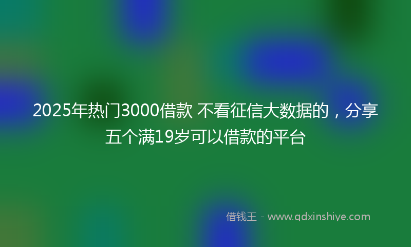 2025年热门3000借款 不看征信大数据的，分享五个满19岁可以借款的平台