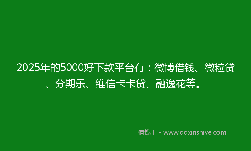 2025年的5000好下款平台有：微博借钱、微粒贷、分期乐、维信卡卡贷、融逸花等。
