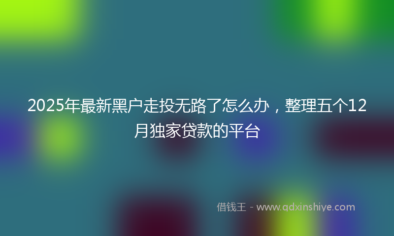 2025年最新黑户走投无路了怎么办，整理五个12月独家贷款的平台