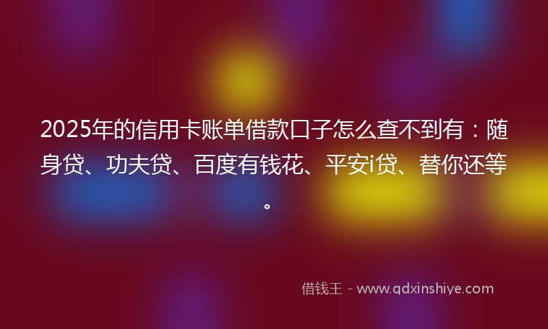 2025年的信用卡账单借款口子怎么查不到有：随身贷、功夫贷、百度有钱花、平安i贷、替你还等。
