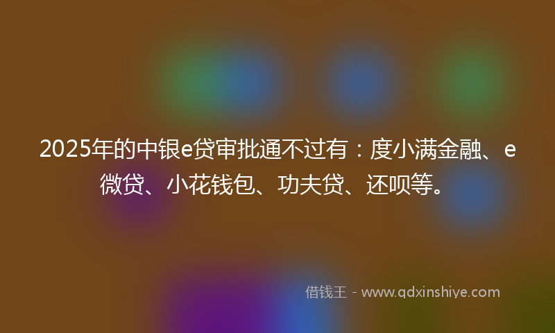2025年的中银e贷审批通不过有：度小满金融、e微贷、小花钱包、功夫贷、还呗等。