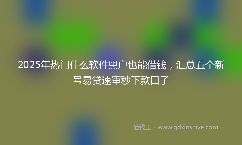 2025年热门什么软件黑户也能借钱，汇总五个新号易贷速审秒下款口子