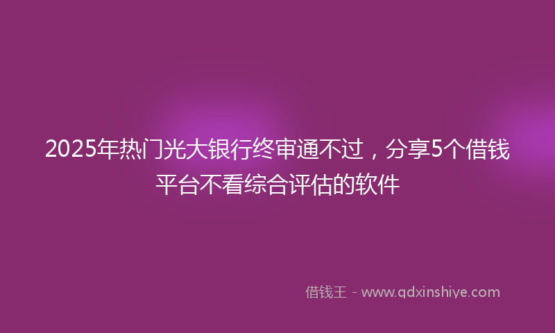 2025年热门光大银行终审通不过，分享5个借钱平台不看综合评估的软件
