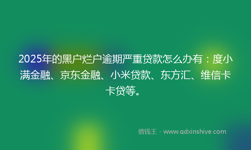 2025年的黑户烂户逾期严重贷款怎么办有：度小满金融、京东金融、小米贷款、东方汇、维信卡卡贷等。