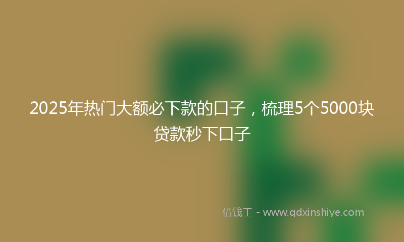 2025年热门大额必下款的口子，梳理5个5000块贷款秒下口子