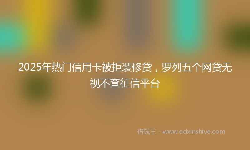 2025年热门信用卡被拒装修贷,罗列五个网贷无视不查征信平台