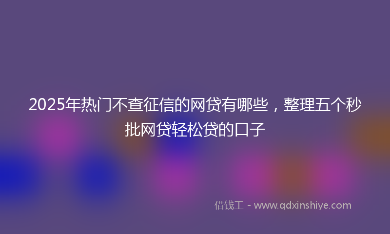 2025年热门不查征信的网贷有哪些，整理五个秒批网贷轻松贷的口子