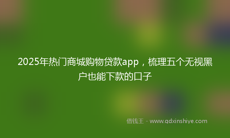 2025年热门商城购物贷款app，梳理五个无视黑户也能下款的口子