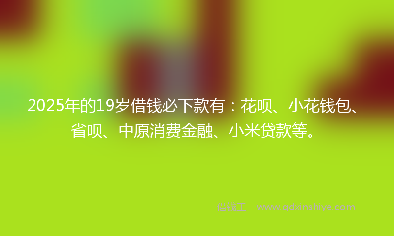 2025年的19岁借钱必下款有：花呗、小花钱包、省呗、中原消费金融、小米贷款等。