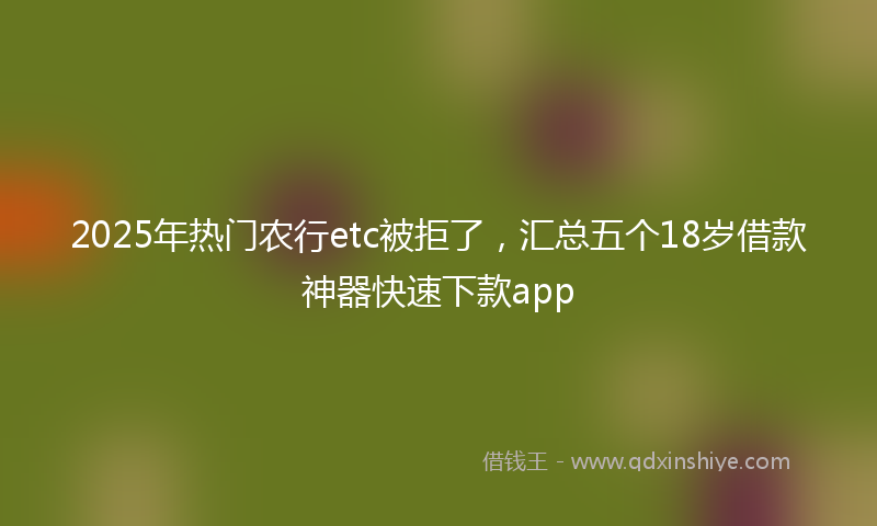 2025年热门农行etc被拒了，汇总五个18岁借款神器快速下款app