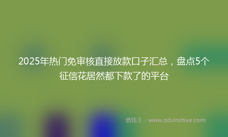 2025年热门免审核直接放款口子汇总，盘点5个征信花居然都下款了的平台