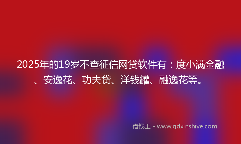 2025年的19岁不查征信网贷软件有：度小满金融、安逸花、功夫贷、洋钱罐、融逸花等。