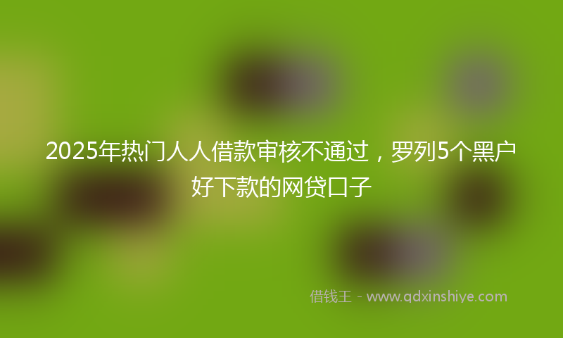2025年热门人人借款审核不通过，罗列5个黑户好下款的网贷口子