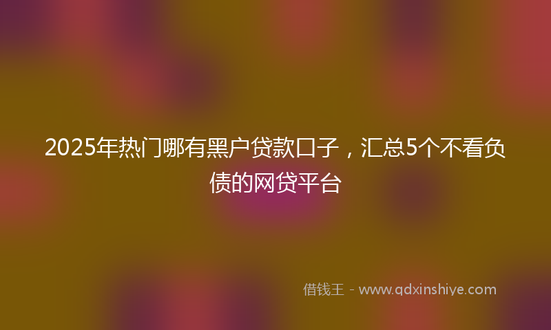 2025年热门哪有黑户贷款口子，汇总5个不看负债的网贷平台