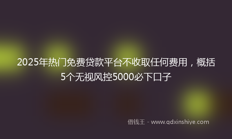 2025年热门免费贷款平台不收取任何费用，概括5个无视风控5000必下口子