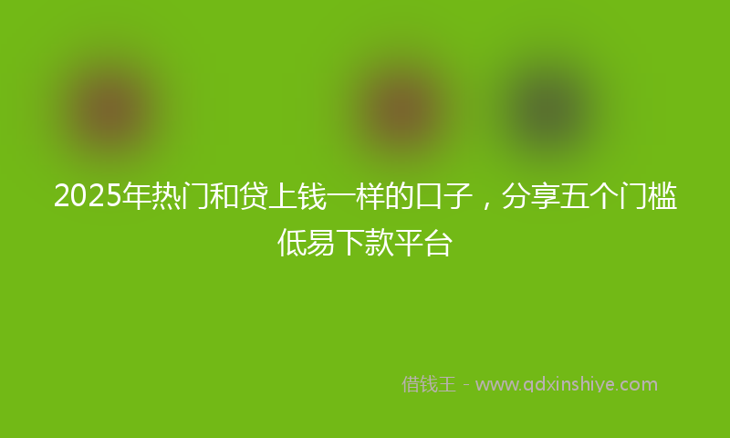 2025年热门和贷上钱一样的口子，分享五个门槛低易下款平台