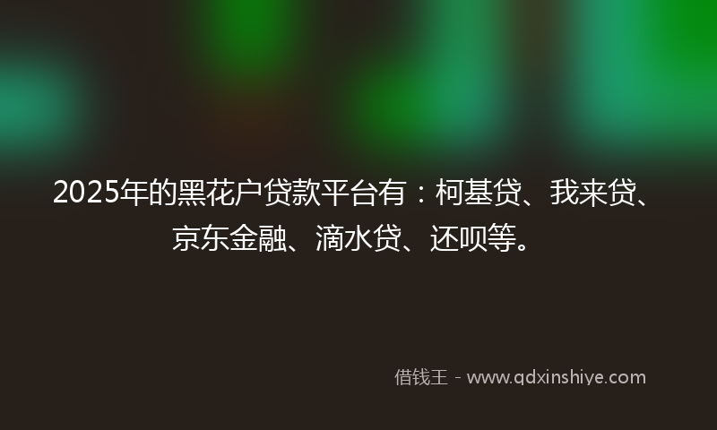 2025年的黑花户贷款平台有：柯基贷、我来贷、京东金融、滴水贷、还呗等。