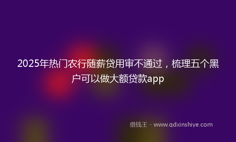 2025年热门农行随薪贷用审不通过，梳理五个黑户可以做大额贷款app