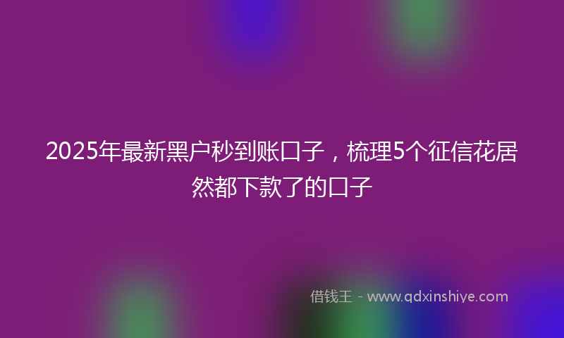 2025年最新黑户秒到账口子，梳理5个征信花居然都下款了的口子