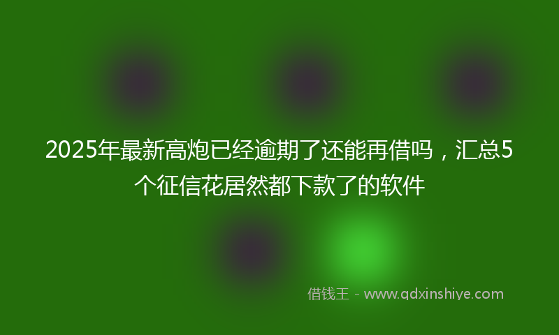 2025年最新高炮已经逾期了还能再借吗，汇总5个征信花居然都下款了的软件