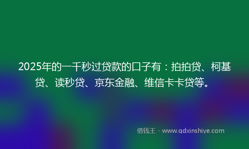 2025年的一千秒过贷款的口子有：拍拍贷、柯基贷、读秒贷、京东金融、维信卡卡贷等。