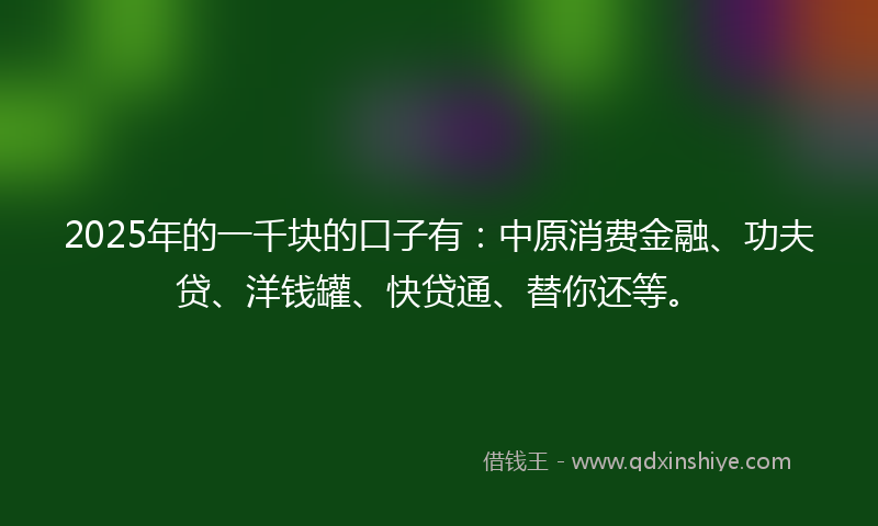 2025年的一千块的口子有：中原消费金融、功夫贷、洋钱罐、快贷通、替你还等。